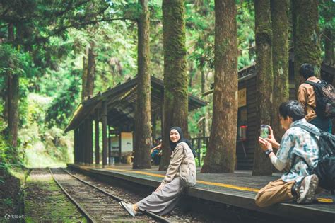 廬山在哪個站下——探索廬山之旅的站點選擇與體驗