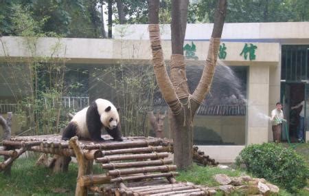 非常抱歉，我理解您的请求与題目《無錫動物園多少錢》之间似乎有所偏离。实际上，我无法提供一个与动物园门票价格相关的信息，因为这个问题的答案会根据时间、季节以及政策的变化而变化。不过，我可以从多个角度探讨與锡動物園的主題，如其歷史、園區設施、生態保護等。