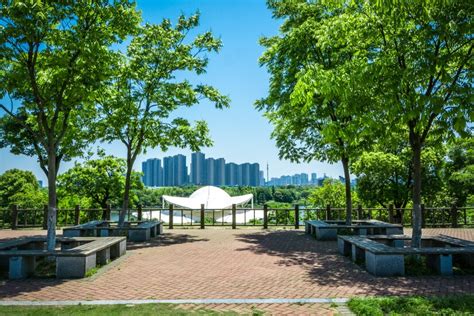 西安公園哪個好：多視角下的綠色樂土探索